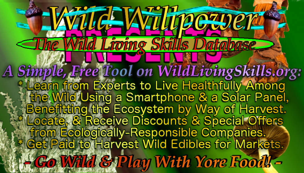 WildLivingSkills business card green