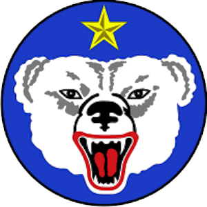 us army alaska bear patch
